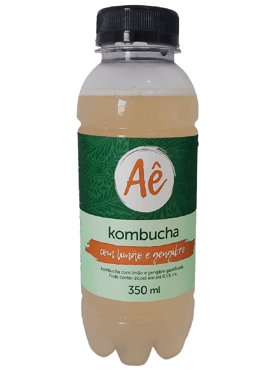 ae-kombucha-limao-com-gengibre-gaseificada.png